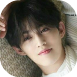 scoups3.png