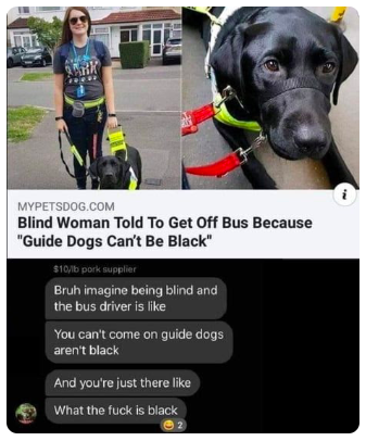 Screen Shot 2019-12-06 at 10.54.46 PM.png