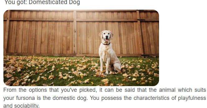 screenshot (1).png