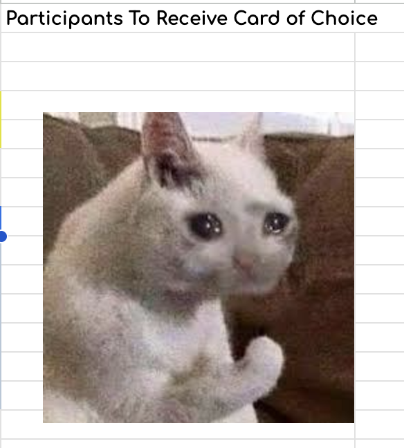 Screenshot 2024-03-17 at 12.11.43 PM.png
