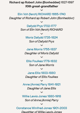 Screenshot 2024-05-18 at 14-08-37 Richard ap Robert John (Bonheddwr) - Facts.png
