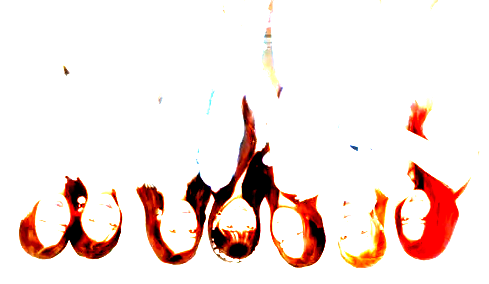 Screenshot 2026-05-22 9.34.22 AM.png