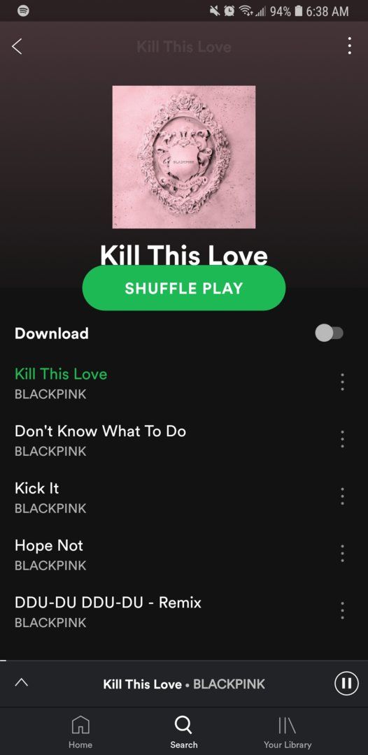 Screenshot_20190405-063822_Spotify.jpg