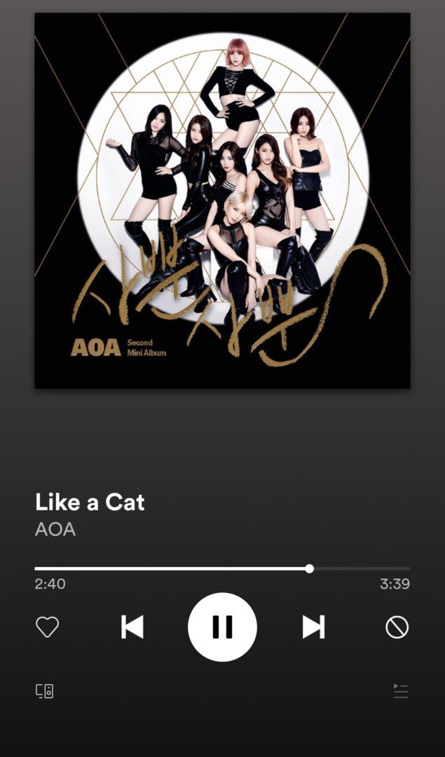 Screenshot_20190419-143546_Spotify.jpg
