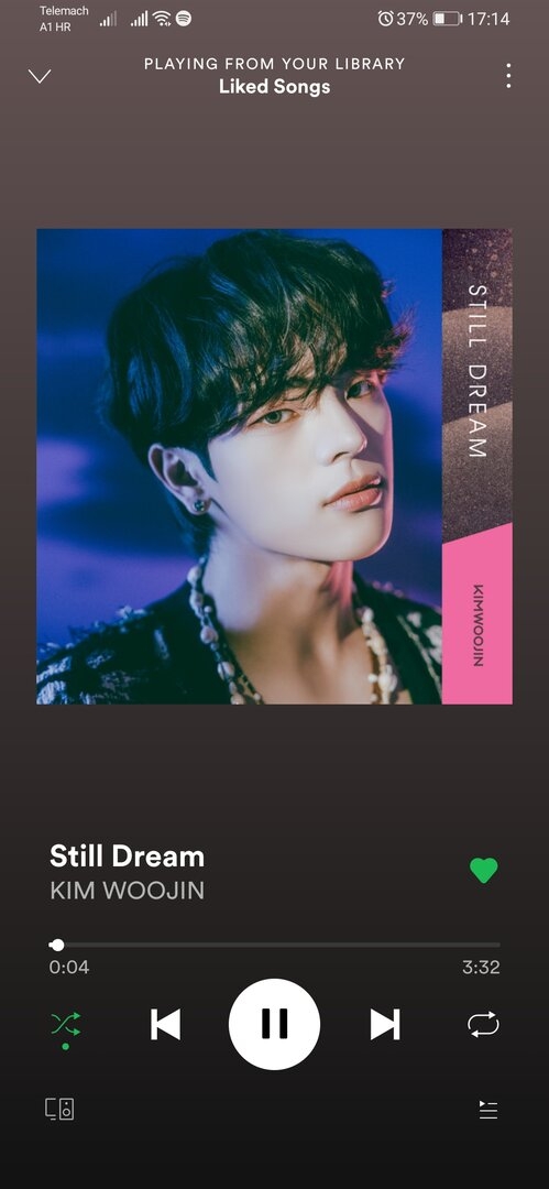 Screenshot_20210712_171440_com.spotify.music.jpg