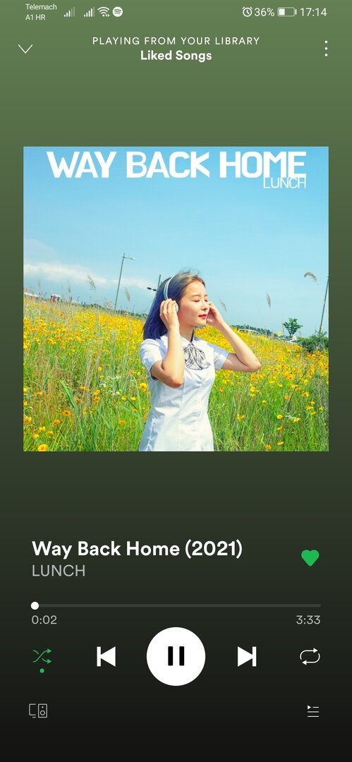 Screenshot_20210712_171448_com.spotify.music.jpg