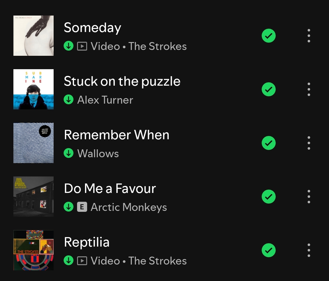 Screenshot_2024-11-16-17-47-33-893_com.spotify.music-edit.jpg