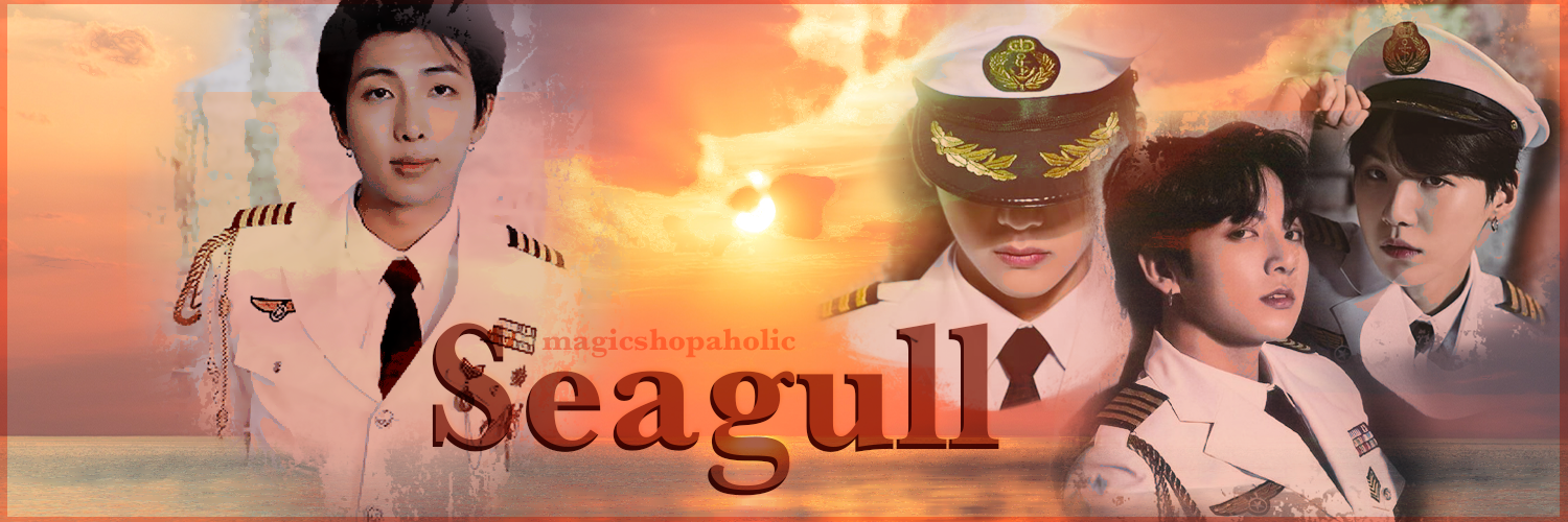 seagull copy.png