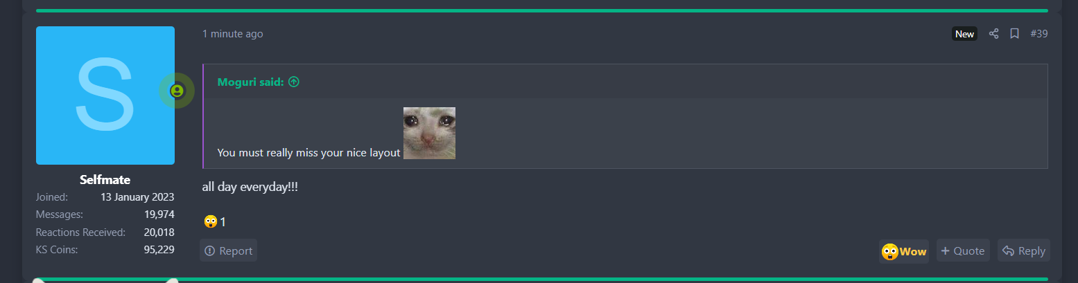 selfmatelayout.png