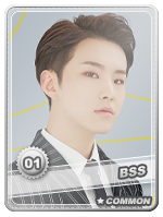 Seventeen-BSS_1-Hoshi.png