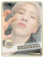 Seventeen_5-HoshiRare.png