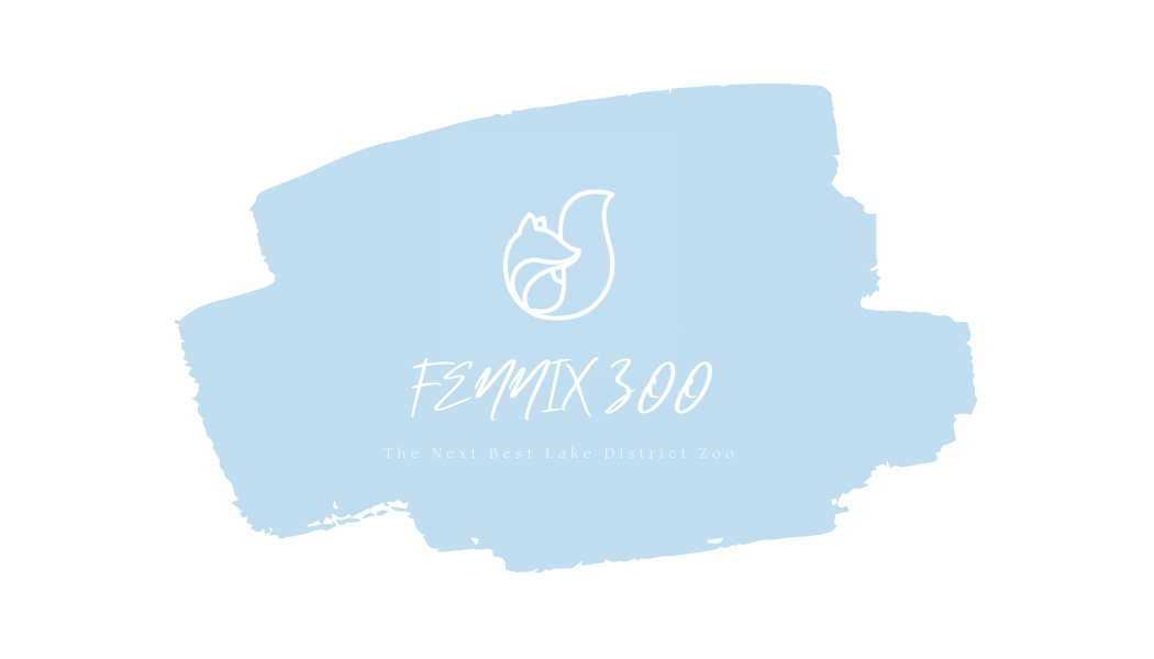 Simple Elegant Business Card (1).png