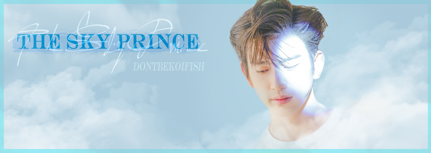 skyprincev5.png