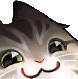 smugcat original.png