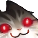 smugcat.png