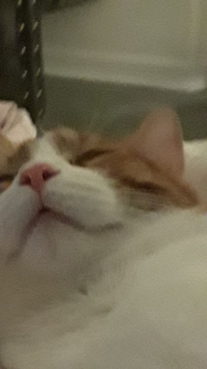 12929