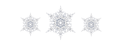 snowflakes.png