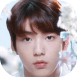 13263