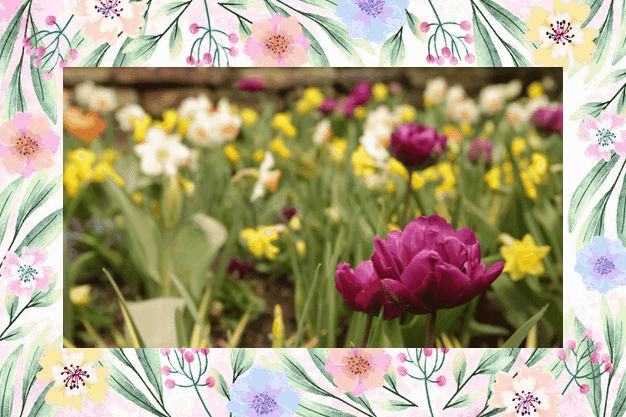 Spring Background LED 01.gif
