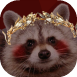 squish raccoon.png