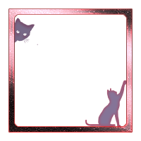 SS_Border_2.png