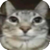 stare.png