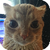 stare3.png