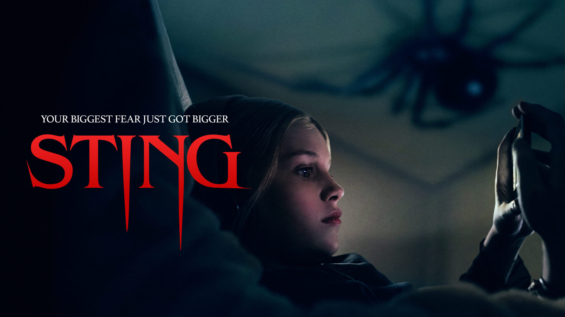 sting-2-scaled.jpeg