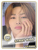stray kids IN rare.png