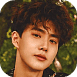suhoe.png