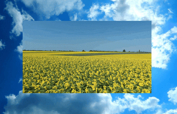 Summer Background LED 01.gif