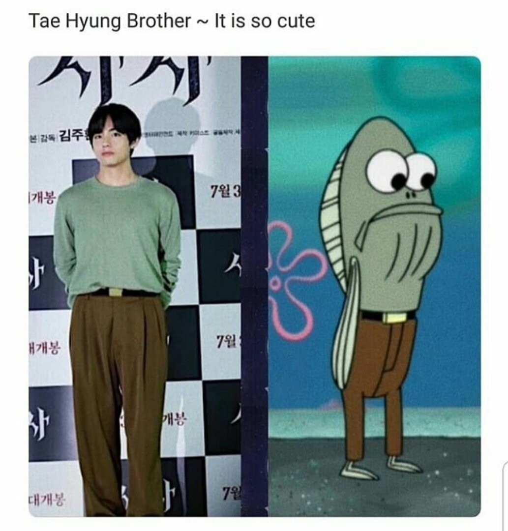 tata2.jpg