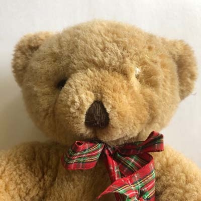 teddy-eye1.jpg