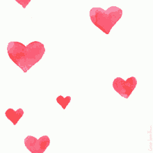 12028