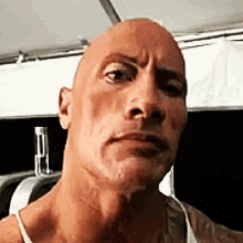 the-rock-eyebrow-the-rock-sus.gif