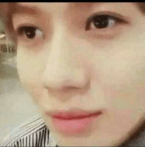 thumb_shinee-meme-tumblr-52085526.png