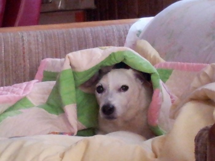 thumbnail_20161215_105242.jpg