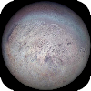 triton.png