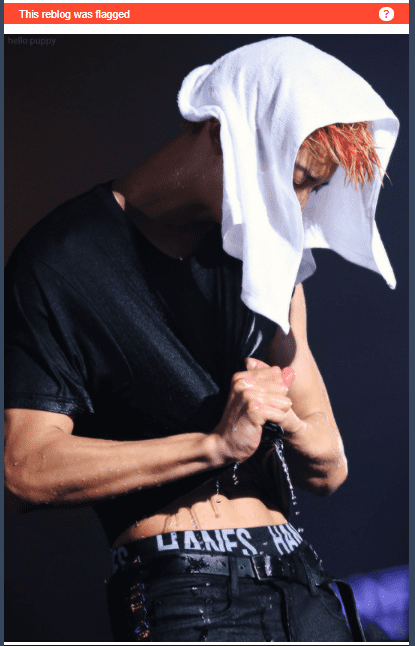 tumblr.PNG