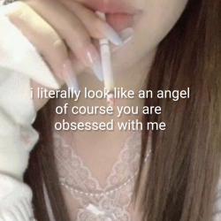 tumblr_83dd52d4a2ae72906f70f8bb7c4b9333_3344f8a8_250.png