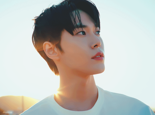 tumblr_f1b91f997f1e5a1bb5a4ed0ae0d5f642_bbfe02f6_540.gif