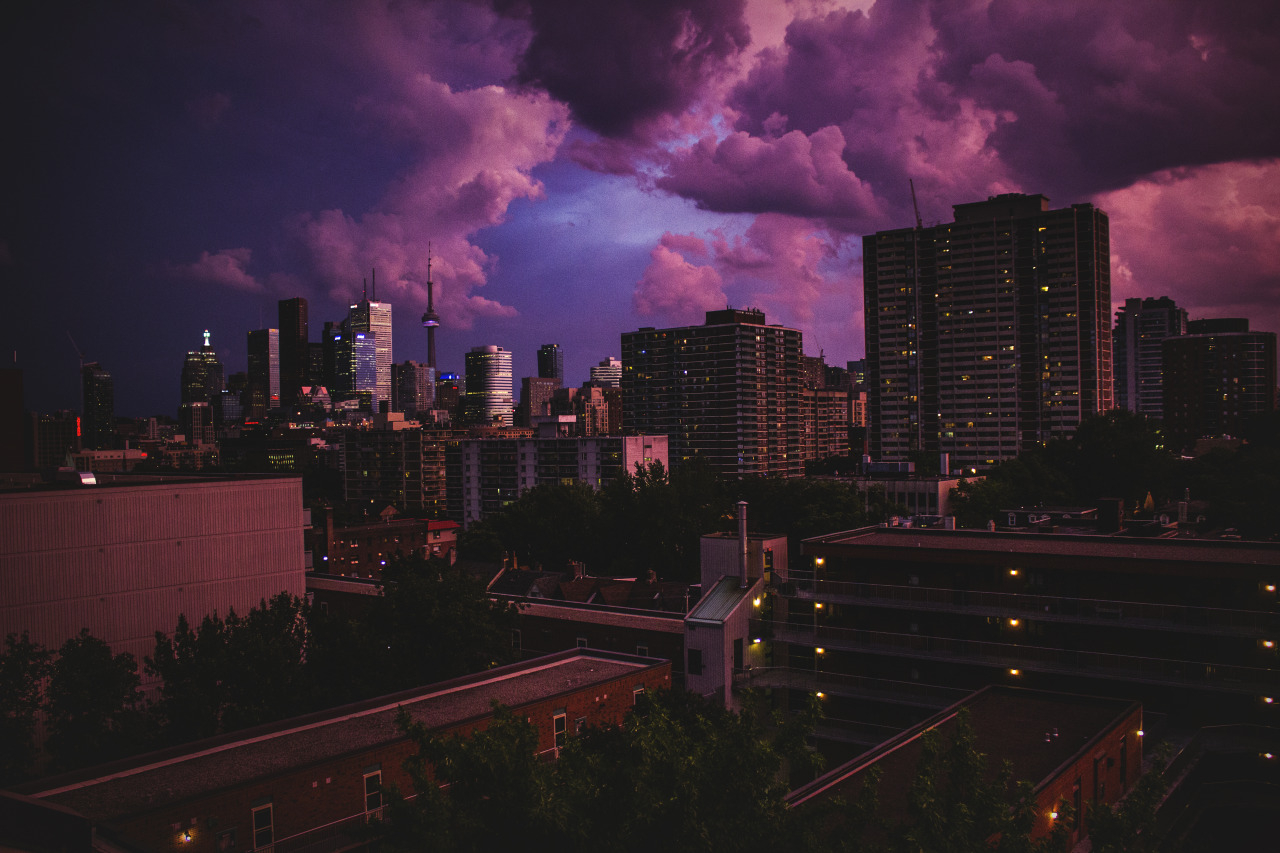 tumblr_mqakfapui41sugh2co1_1280.jpg
