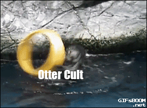 tumblr_nlw7taLxuL1qz9wlpo1_400.gif