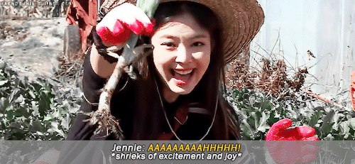 tumblr_pjirn1ZEo21s8z0bbo1_500.gif