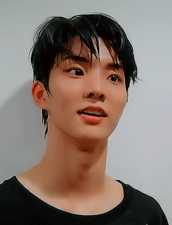 tumblr_pli3wtUV851xg6soio2_250.gif