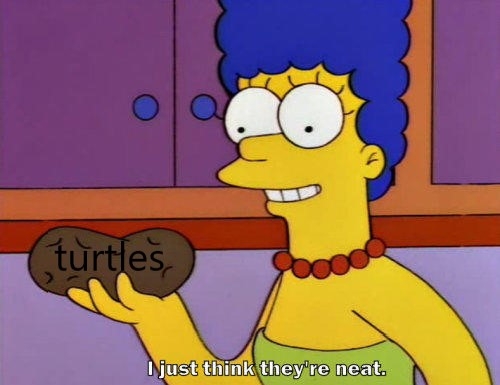 turtleneztmeme.jpg