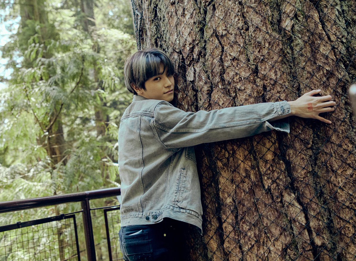 TY_tree.jpg