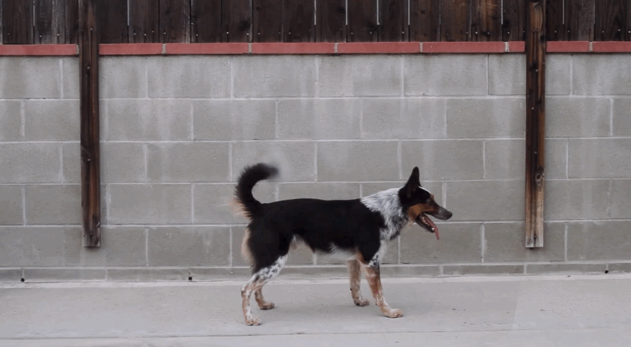undefined.gif