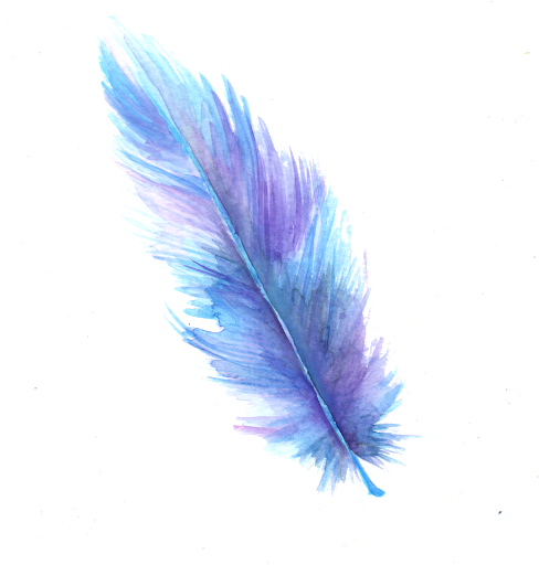 unnamed (1).png