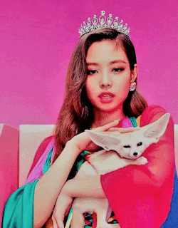 unnamed (2).gif